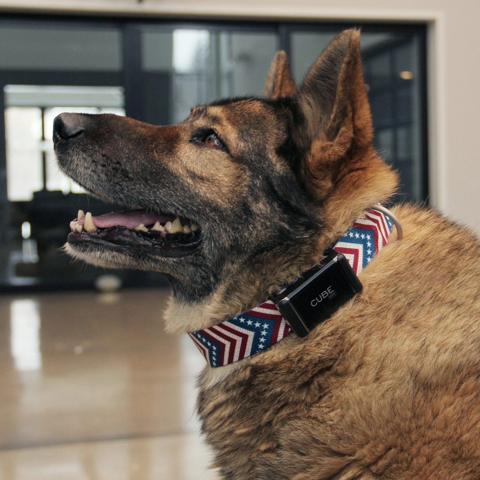 Cube GPS Pet Tracking Bundle by Cube Tracker - Image 4